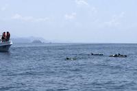 Marino Ballena Nationalpark