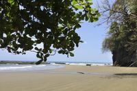 Marino Ballena Nationalpark