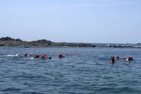 Marino Ballena Nationalpark