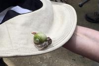 Was war das gleich nochmal? :-)