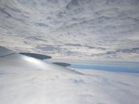 17 Tage Rundreise Costa Rica – einzigartige Naturreise San José – Vulkane Poas & Arenal – Braulio Carrillo NP – Cahuita NP – Tortuguero NP – Monteverde – Santa Elena – Carara NP – Marino Ballen (31)