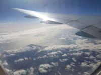 17 Tage Rundreise Costa Rica – einzigartige Naturreise San José – Vulkane Poas & Arenal – Braulio Carrillo NP – Cahuita NP – Tortuguero NP – Monteverde – Santa Elena – Carara NP – Marino Ballen (41)