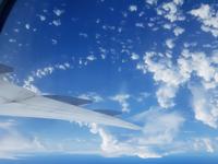 17 Tage Rundreise Costa Rica – einzigartige Naturreise San José – Vulkane Poas & Arenal – Braulio Carrillo NP – Cahuita NP – Tortuguero NP – Monteverde – Santa Elena – Carara NP – Marino Ballen (96)