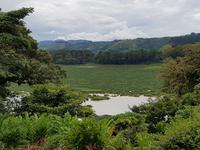 17 Tage Rundreise Costa Rica – einzigartige Naturreise San José – Vulkane Poas & Arenal – Braulio Carrillo NP – Cahuita NP – Tortuguero NP – Monteverde – Santa Elena – Carara NP – Marino Ballen (145)