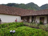 17 Tage Rundreise Costa Rica – einzigartige Naturreise San José – Vulkane Poas & Arenal – Braulio Carrillo NP – Cahuita NP – Tortuguero NP – Monteverde – Santa Elena – Carara NP – Marino Ballen (159)