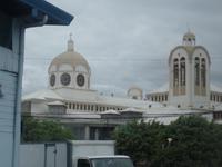 17 Tage Rundreise Costa Rica – einzigartige Naturreise San José – Vulkane Poas & Arenal – Braulio Carrillo NP – Cahuita NP – Tortuguero NP – Monteverde – Santa Elena – Carara NP – Marino Ballen (186)