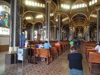 17 Tage Rundreise Costa Rica – einzigartige Naturreise San José – Vulkane Poas & Arenal – Braulio Carrillo NP – Cahuita NP – Tortuguero NP – Monteverde – Santa Elena – Carara NP – Marino Ballen (194)