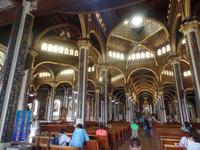 17 Tage Rundreise Costa Rica – einzigartige Naturreise San José – Vulkane Poas & Arenal – Braulio Carrillo NP – Cahuita NP – Tortuguero NP – Monteverde – Santa Elena – Carara NP – Marino Ballen (196)