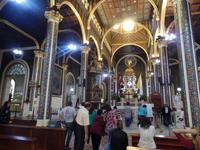 17 Tage Rundreise Costa Rica – einzigartige Naturreise San José – Vulkane Poas & Arenal – Braulio Carrillo NP – Cahuita NP – Tortuguero NP – Monteverde – Santa Elena – Carara NP – Marino Ballen (198)