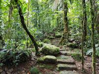 17 Tage Rundreise Costa Rica – einzigartige Naturreise San José – Vulkane Poas & Arenal – Braulio Carrillo NP – Cahuita NP – Tortuguero NP – Monteverde – Santa Elena – Carara NP – Marino Ballen (228)