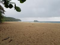 17 Tage Rundreise Costa Rica – einzigartige Naturreise San José – Vulkane Poas & Arenal – Braulio Carrillo NP – Cahuita NP – Tortuguero NP – Monteverde – Santa Elena – Carara NP – Marino Ballen (240)