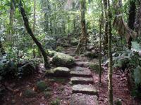 17 Tage Rundreise Costa Rica – einzigartige Naturreise San José – Vulkane Poas & Arenal – Braulio Carrillo NP – Cahuita NP – Tortuguero NP – Monteverde – Santa Elena – Carara NP – Marino Ballen (274)