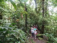 17 Tage Rundreise Costa Rica – einzigartige Naturreise San José – Vulkane Poas & Arenal – Braulio Carrillo NP – Cahuita NP – Tortuguero NP – Monteverde – Santa Elena – Carara NP – Marino Ballen (275)