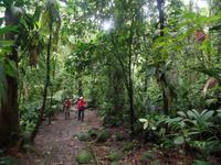 17 Tage Rundreise Costa Rica – einzigartige Naturreise San José – Vulkane Poas & Arenal – Braulio Carrillo NP – Cahuita NP – Tortuguero NP – Monteverde – Santa Elena – Carara NP – Marino Ballen (281)