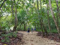 17 Tage Rundreise Costa Rica – einzigartige Naturreise San José – Vulkane Poas & Arenal – Braulio Carrillo NP – Cahuita NP – Tortuguero NP – Monteverde – Santa Elena – Carara NP – Marino Ballen (318)