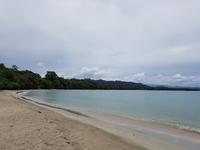 17 Tage Rundreise Costa Rica – einzigartige Naturreise San José – Vulkane Poas & Arenal – Braulio Carrillo NP – Cahuita NP – Tortuguero NP – Monteverde – Santa Elena – Carara NP – Marino Ballen (337)