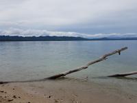 17 Tage Rundreise Costa Rica – einzigartige Naturreise San José – Vulkane Poas & Arenal – Braulio Carrillo NP – Cahuita NP – Tortuguero NP – Monteverde – Santa Elena – Carara NP – Marino Ballen (367)