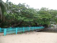 17 Tage Rundreise Costa Rica – einzigartige Naturreise San José – Vulkane Poas & Arenal – Braulio Carrillo NP – Cahuita NP – Tortuguero NP – Monteverde – Santa Elena – Carara NP – Marino Ballen (404)