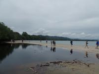 17 Tage Rundreise Costa Rica – einzigartige Naturreise San José – Vulkane Poas & Arenal – Braulio Carrillo NP – Cahuita NP – Tortuguero NP – Monteverde – Santa Elena – Carara NP – Marino Ballen (450)