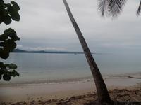 17 Tage Rundreise Costa Rica – einzigartige Naturreise San José – Vulkane Poas & Arenal – Braulio Carrillo NP – Cahuita NP – Tortuguero NP – Monteverde – Santa Elena – Carara NP – Marino Ballen (470)