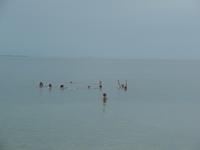 17 Tage Rundreise Costa Rica – einzigartige Naturreise San José – Vulkane Poas & Arenal – Braulio Carrillo NP – Cahuita NP – Tortuguero NP – Monteverde – Santa Elena – Carara NP – Marino Ballen (480)