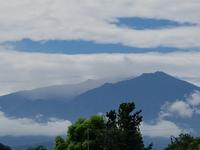 17 Tage Rundreise Costa Rica – einzigartige Naturreise San José – Vulkane Poas & Arenal – Braulio Carrillo NP – Cahuita NP – Tortuguero NP – Monteverde – Santa Elena – Carara NP – Marino Ballen (488)