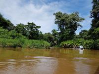 17 Tage Rundreise Costa Rica – einzigartige Naturreise San José – Vulkane Poas & Arenal – Braulio Carrillo NP – Cahuita NP – Tortuguero NP – Monteverde – Santa Elena – Carara NP – Marino Ballen (491)