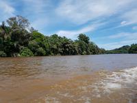 17 Tage Rundreise Costa Rica – einzigartige Naturreise San José – Vulkane Poas & Arenal – Braulio Carrillo NP – Cahuita NP – Tortuguero NP – Monteverde – Santa Elena – Carara NP – Marino Ballen (500)