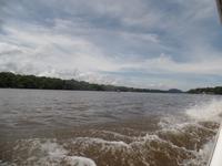 17 Tage Rundreise Costa Rica – einzigartige Naturreise San José – Vulkane Poas & Arenal – Braulio Carrillo NP – Cahuita NP – Tortuguero NP – Monteverde – Santa Elena – Carara NP – Marino Ballen (555)