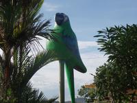 17 Tage Rundreise Costa Rica – einzigartige Naturreise San José – Vulkane Poas & Arenal – Braulio Carrillo NP – Cahuita NP – Tortuguero NP – Monteverde – Santa Elena – Carara NP – Marino Ballen (567)