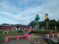 17 Tage Rundreise Costa Rica – einzigartige Naturreise San José – Vulkane Poas & Arenal – Braulio Carrillo NP – Cahuita NP – Tortuguero NP – Monteverde – Santa Elena – Carara NP – Marino Ballen (571)