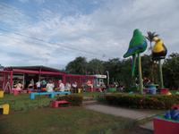 17 Tage Rundreise Costa Rica – einzigartige Naturreise San José – Vulkane Poas & Arenal – Braulio Carrillo NP – Cahuita NP – Tortuguero NP – Monteverde – Santa Elena – Carara NP – Marino Ballen (573)