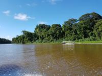 17 Tage Rundreise Costa Rica – einzigartige Naturreise San José – Vulkane Poas & Arenal – Braulio Carrillo NP – Cahuita NP – Tortuguero NP – Monteverde – Santa Elena – Carara NP – Marino Ballen (633)