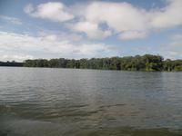 17 Tage Rundreise Costa Rica – einzigartige Naturreise San José – Vulkane Poas & Arenal – Braulio Carrillo NP – Cahuita NP – Tortuguero NP – Monteverde – Santa Elena – Carara NP – Marino Ballen (648)