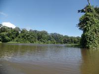 17 Tage Rundreise Costa Rica – einzigartige Naturreise San José – Vulkane Poas & Arenal – Braulio Carrillo NP – Cahuita NP – Tortuguero NP – Monteverde – Santa Elena – Carara NP – Marino Ballen (696)