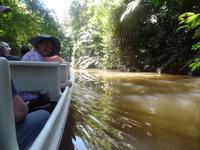 17 Tage Rundreise Costa Rica – einzigartige Naturreise San José – Vulkane Poas & Arenal – Braulio Carrillo NP – Cahuita NP – Tortuguero NP – Monteverde – Santa Elena – Carara NP – Marino Ballen (715)