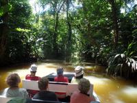 17 Tage Rundreise Costa Rica – einzigartige Naturreise San José – Vulkane Poas & Arenal – Braulio Carrillo NP – Cahuita NP – Tortuguero NP – Monteverde – Santa Elena – Carara NP – Marino Ballen (716)