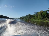 17 Tage Rundreise Costa Rica – einzigartige Naturreise San José – Vulkane Poas & Arenal – Braulio Carrillo NP – Cahuita NP – Tortuguero NP – Monteverde – Santa Elena – Carara NP – Marino Ballen (790)