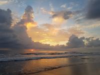 17 Tage Rundreise Costa Rica – einzigartige Naturreise San José – Vulkane Poas & Arenal – Braulio Carrillo NP – Cahuita NP – Tortuguero NP – Monteverde – Santa Elena – Carara NP – Marino Ballen (811)