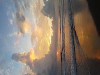 17 Tage Rundreise Costa Rica – einzigartige Naturreise San José – Vulkane Poas & Arenal – Braulio Carrillo NP – Cahuita NP – Tortuguero NP – Monteverde – Santa Elena – Carara NP – Marino Ballen (813)