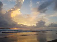 17 Tage Rundreise Costa Rica – einzigartige Naturreise San José – Vulkane Poas & Arenal – Braulio Carrillo NP – Cahuita NP – Tortuguero NP – Monteverde – Santa Elena – Carara NP – Marino Ballen (822)