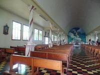 17 Tage Rundreise Costa Rica – einzigartige Naturreise San José – Vulkane Poas & Arenal – Braulio Carrillo NP – Cahuita NP – Tortuguero NP – Monteverde – Santa Elena – Carara NP – Marino Ballen (888)