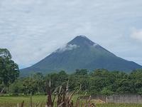 17 Tage Rundreise Costa Rica – einzigartige Naturreise San José – Vulkane Poas & Arenal – Braulio Carrillo NP – Cahuita NP – Tortuguero NP – Monteverde – Santa Elena – Carara NP – Marino Ballen (897)