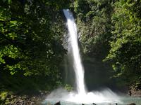 17 Tage Rundreise Costa Rica – einzigartige Naturreise San José – Vulkane Poas & Arenal – Braulio Carrillo NP – Cahuita NP – Tortuguero NP – Monteverde – Santa Elena – Carara NP – Marino Ballen (904)