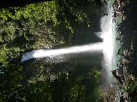 17 Tage Rundreise Costa Rica – einzigartige Naturreise San José – Vulkane Poas & Arenal – Braulio Carrillo NP – Cahuita NP – Tortuguero NP – Monteverde – Santa Elena – Carara NP – Marino Ballen (906)