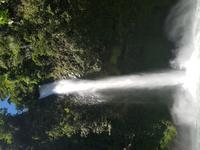 17 Tage Rundreise Costa Rica – einzigartige Naturreise San José – Vulkane Poas & Arenal – Braulio Carrillo NP – Cahuita NP – Tortuguero NP – Monteverde – Santa Elena – Carara NP – Marino Ballen (908)