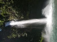 17 Tage Rundreise Costa Rica – einzigartige Naturreise San José – Vulkane Poas & Arenal – Braulio Carrillo NP – Cahuita NP – Tortuguero NP – Monteverde – Santa Elena – Carara NP – Marino Ballen (915)