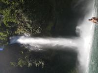 17 Tage Rundreise Costa Rica – einzigartige Naturreise San José – Vulkane Poas & Arenal – Braulio Carrillo NP – Cahuita NP – Tortuguero NP – Monteverde – Santa Elena – Carara NP – Marino Ballen (922)