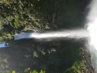 17 Tage Rundreise Costa Rica – einzigartige Naturreise San José – Vulkane Poas & Arenal – Braulio Carrillo NP – Cahuita NP – Tortuguero NP – Monteverde – Santa Elena – Carara NP – Marino Ballen (940)