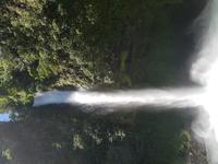 17 Tage Rundreise Costa Rica – einzigartige Naturreise San José – Vulkane Poas & Arenal – Braulio Carrillo NP – Cahuita NP – Tortuguero NP – Monteverde – Santa Elena – Carara NP – Marino Ballen (942)